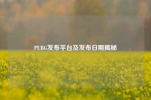 PUBG发布平台及发布日期揭秘