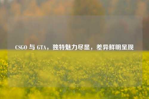 CSGO 与 GTA，独特魅力尽显，差异鲜明呈现