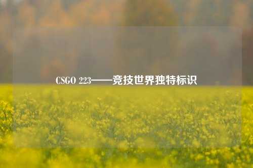CSGO 223——竞技世界独特标识