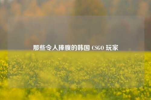 那些令人捧腹的韩国 CSGO 玩家