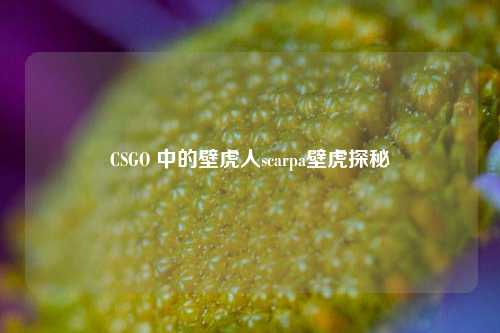CSGO 中的壁虎人scarpa壁虎探秘