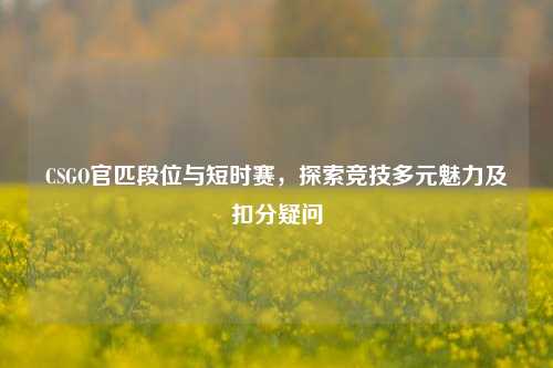 CSGO官匹段位与短时赛，探索竞技多元魅力及扣分疑问