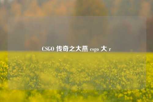 CSGO 传奇之大燕 csgo 大 r