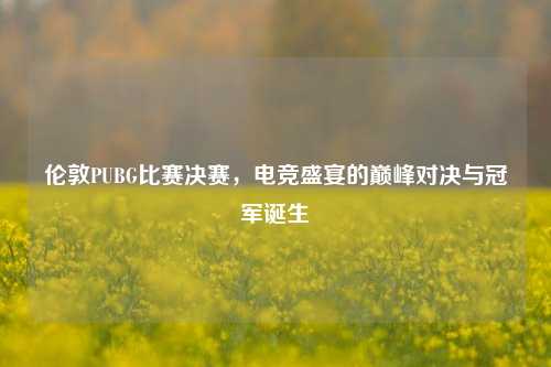 伦敦PUBG比赛决赛，电竞盛宴的巅峰对决与冠军诞生