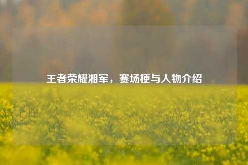 王者荣耀湘军，赛场梗与人物介绍
