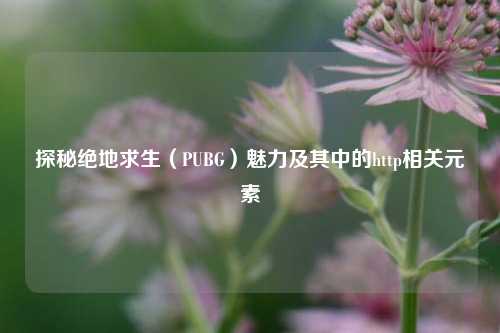 探秘绝地求生(PUBG)魅力及其中的http相关元素