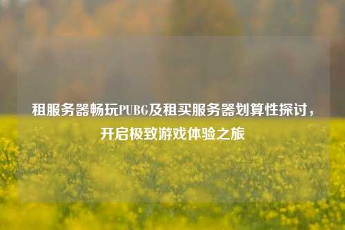 租服务器畅玩PUBG及租买服务器划算性探讨，开启极致游戏体验之旅