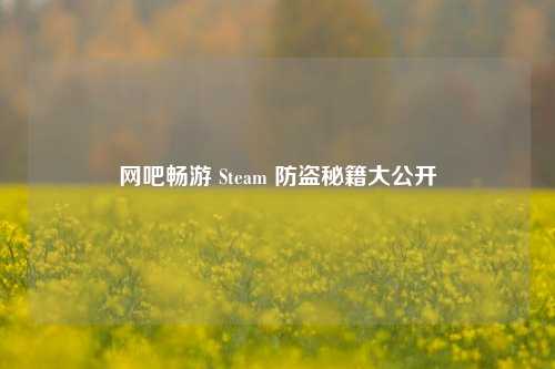 网吧畅游 Steam 防盗秘籍大公开