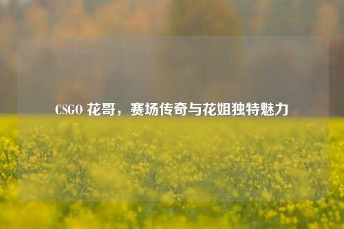 CSGO 花哥,赛场传奇与花姐独特魅力