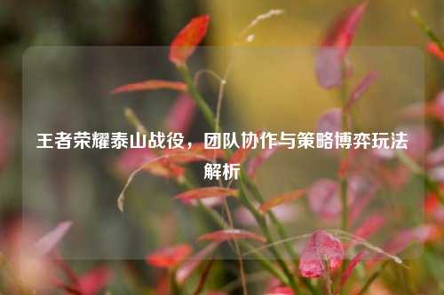 王者荣耀泰山战役,团队协作与策略博弈玩法解析
