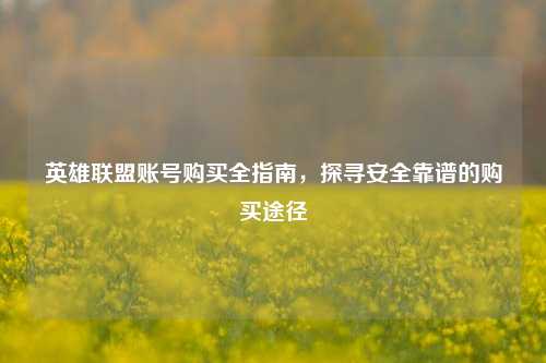 英雄联盟账号购买全指南,探寻安全靠谱的购买途径
