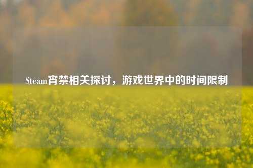 Steam宵禁相关探讨,游戏世界中的时间限制