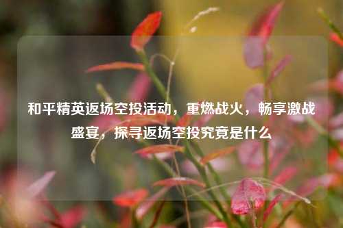 和平精英返场空投活动，重燃战火，畅享激战盛宴，探寻返场空投究竟是什么