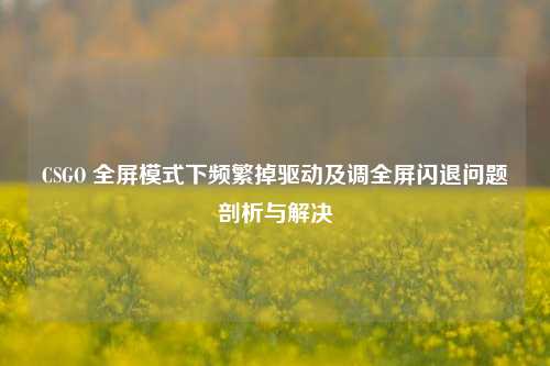 CSGO 全屏模式下频繁掉驱动及调全屏闪退问题剖析与解决