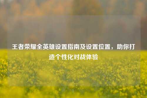 王者荣耀全英雄设置指南及设置位置,助你打造个性化对战体验