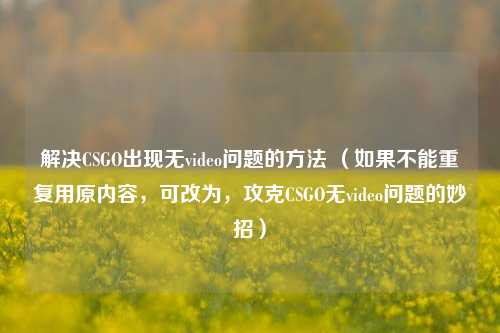 解决CSGO出现无video问题的方法 （如果不能重复用原内容，可改为，攻克CSGO无video问题的妙招）