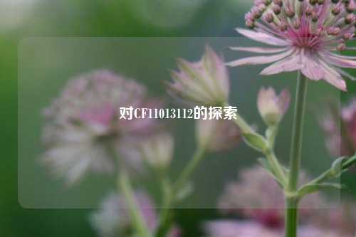 对CF11013112的探索