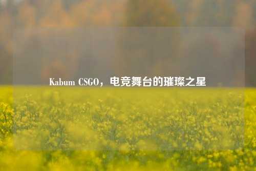 Kabum CSGO,电竞舞台的璀璨之星