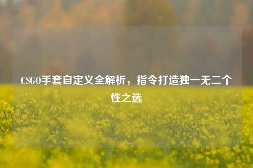 CSGO手套自定义全解析,指令打造独一无二个性之选