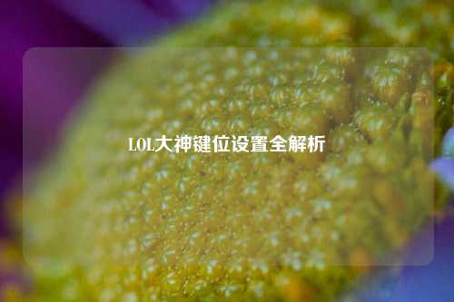 LOL大神键位设置全解析