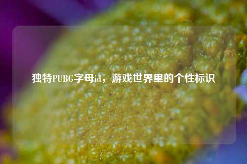独特PUBG字母id,游戏世界里的个性标识