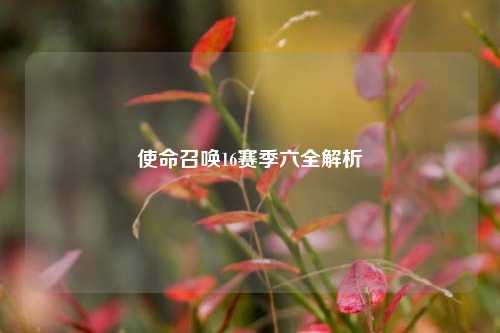 使命召唤16赛季六全解析