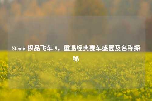 Steam 极品飞车 9,重温经典赛车盛宴及名称探秘
