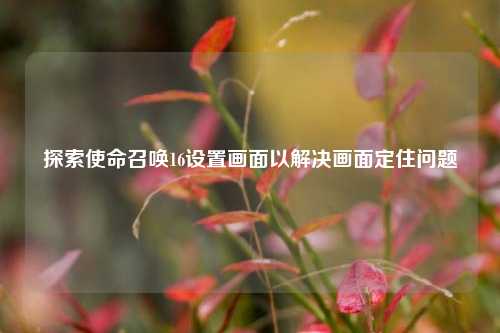 探索使命召唤16设置画面以解决画面定住问题