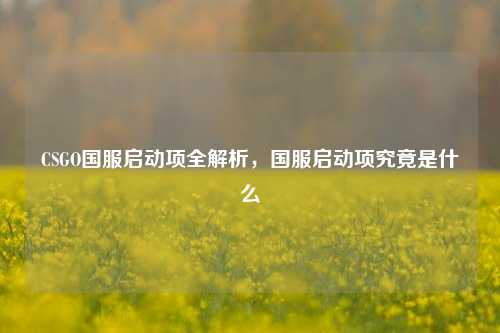 CSGO国服启动项全解析，国服启动项究竟是什么