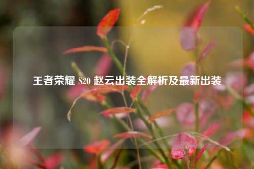 王者荣耀 S20 赵云出装全解析及最新出装