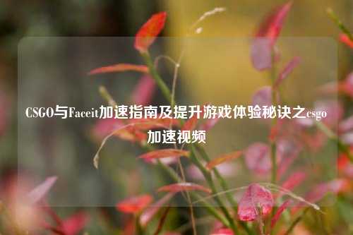 CSGO与Faceit加速指南及提升游戏体验秘诀之csgo加速视频