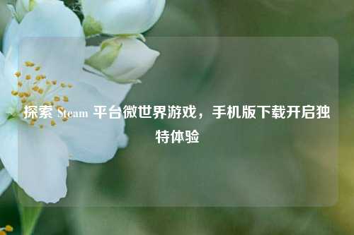 探索 Steam 平台微世界游戏,手机版下载开启独特体验