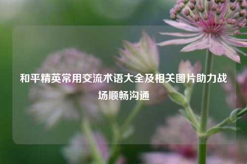 和平精英常用交流术语大全及相关图片助力战场顺畅沟通