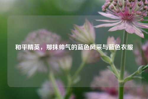 和平精英,那抹帅气的蓝色风采与蓝色衣服