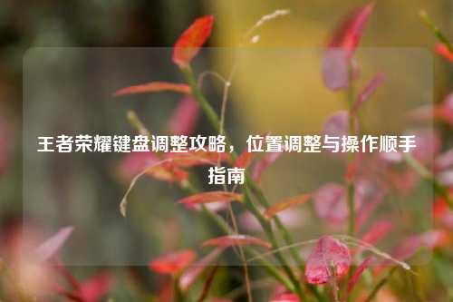王者荣耀键盘调整攻略,位置调整与操作顺手指南
