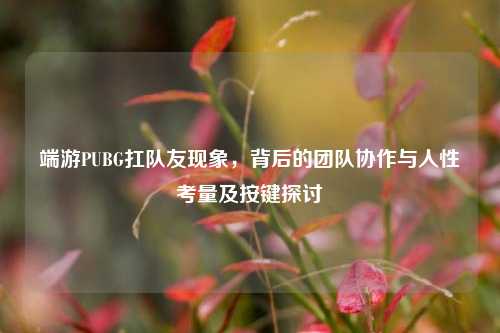 端游PUBG扛队友现象，背后的团队协作与人性考量及按键探讨