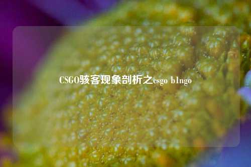 CSGO骇客现象剖析之csgo b1ngo