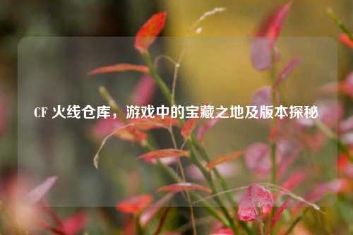 CF 火线仓库,游戏中的宝藏之地及版本探秘