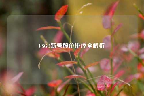 CSGO新号段位排序全解析