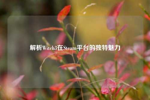 解析Witch3在Steam平台的独特魅力