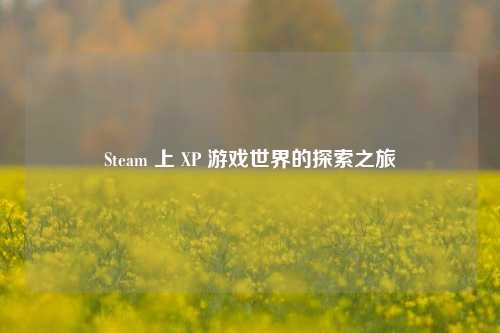 Steam 上 XP 游戏世界的探索之旅