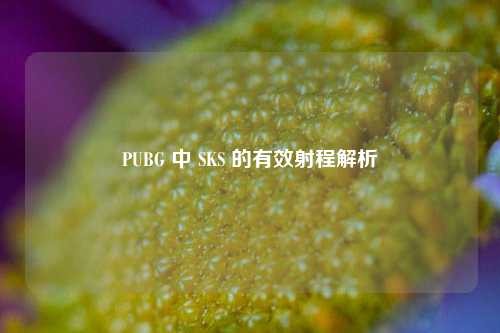 PUBG 中 SKS 的有效射程解析