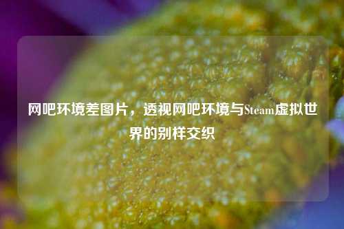 网吧环境差图片,透视网吧环境与Steam虚拟世界的别样交织