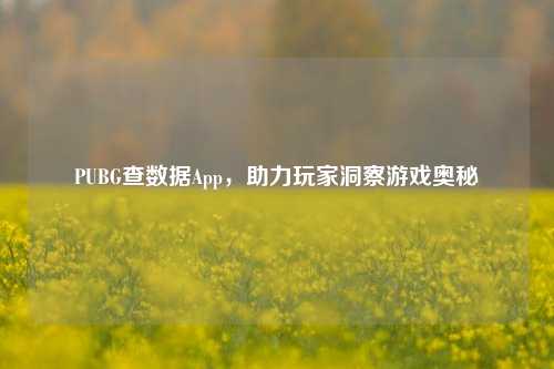 PUBG查数据App,助力玩家洞察游戏奥秘
