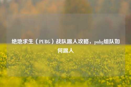 绝地求生(PUBG)战队踢人攻略,pubg组队如何踢人