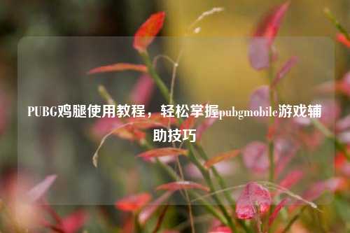 PUBG鸡腿使用教程，轻松掌握pubgmobile游戏辅助技巧