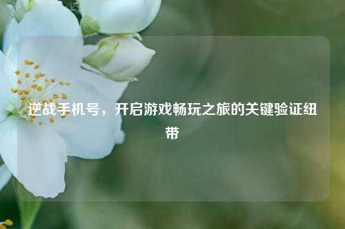 逆战手机号,开启游戏畅玩之旅的关键验证纽带
