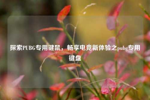 探索PUBG专用键鼠，畅享电竞新体验之pubg专用键盘