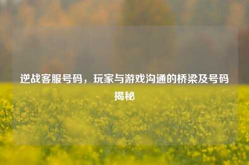 逆战客服号码,玩家与游戏沟通的桥梁及号码揭秘