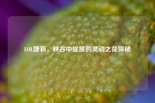 LOL婕莉，峡谷中绽放的灵动之花探秘